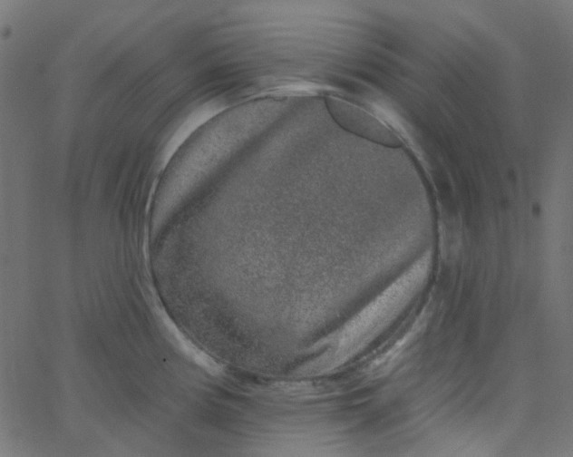 X0000067901194200604271845