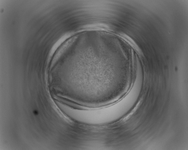 X0000067901196200604271844