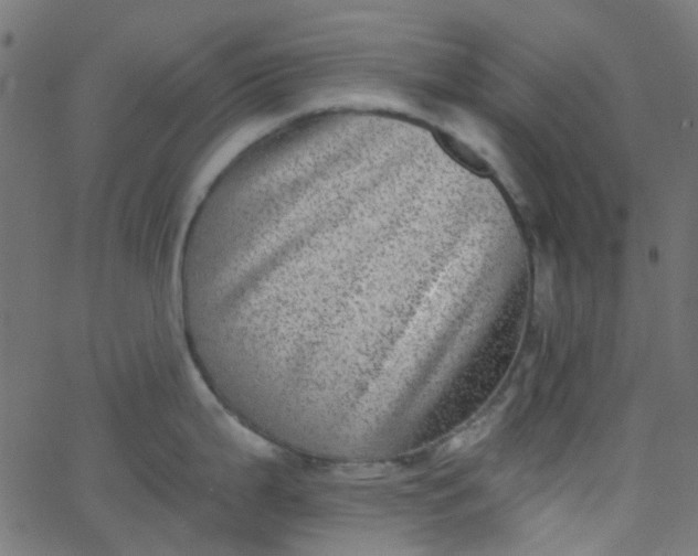 X0000067901199200604271844