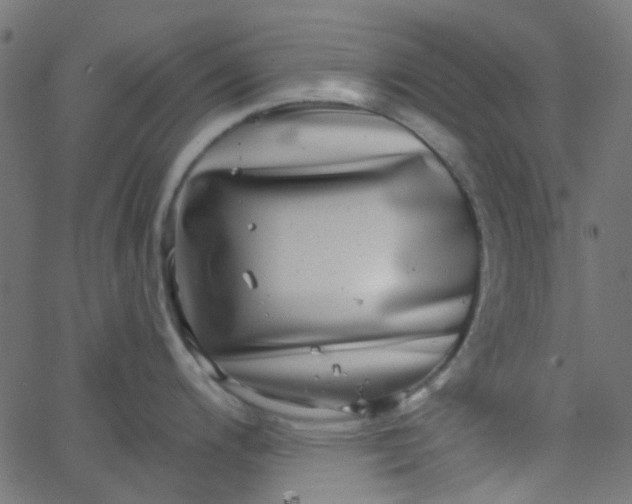 X0000067901200200604271844