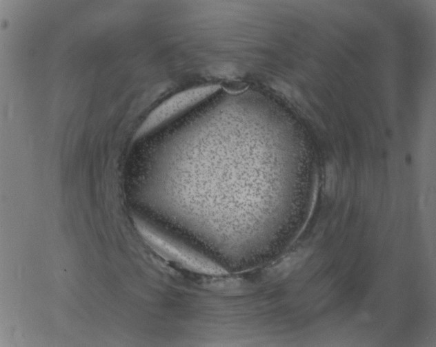 X0000067901201200604271844