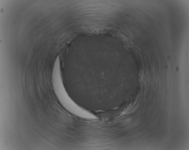 X0000067901202200604271844