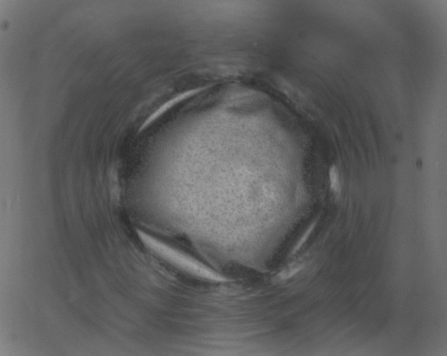 X0000067901203200604271844