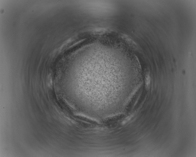 X0000067901204200604271844