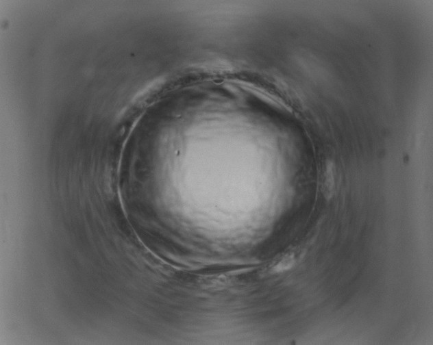 X0000067901205200604271844