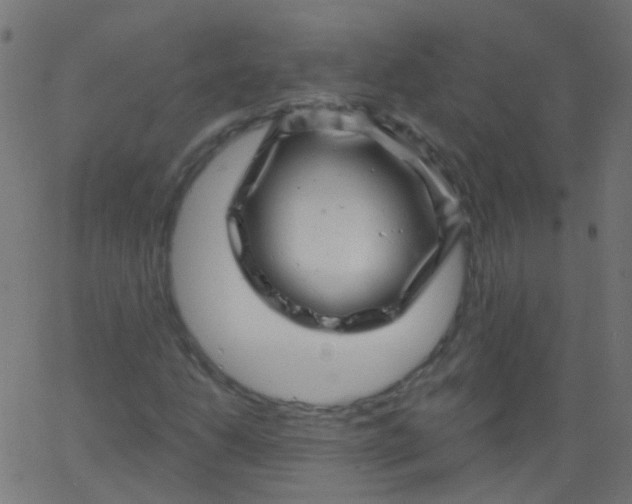 X0000067901206200604271844