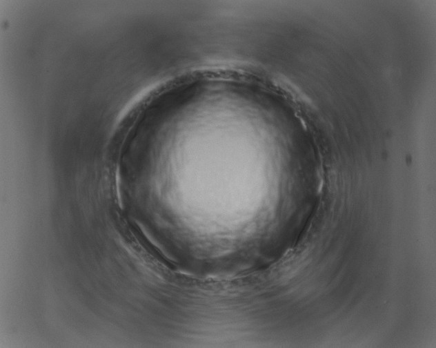 X0000067901208200604271844