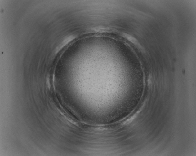 X0000067901209200604271844