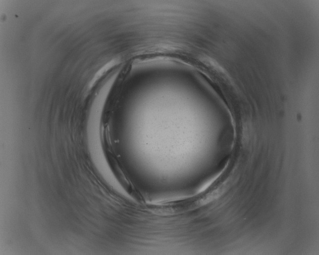 X0000067901210200604271844