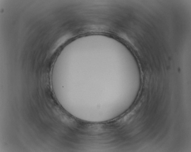 X0000067901211200604271844