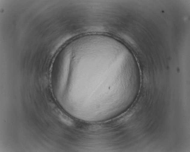 X0000067901212200604271844