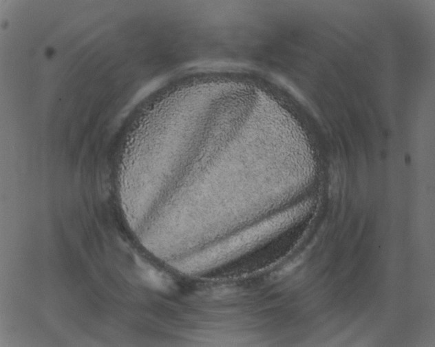 X0000067901213200604271844