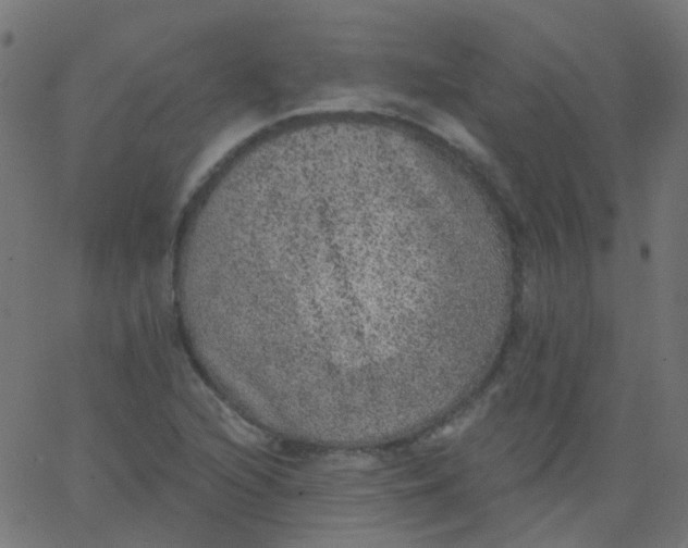 X0000067901216200604271844