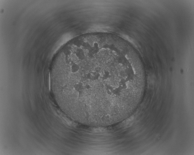 X0000067901219200604271844