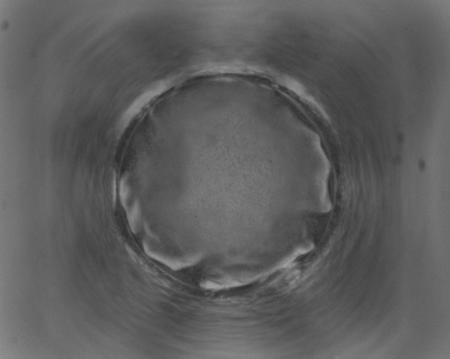 X0000067901221200604271844