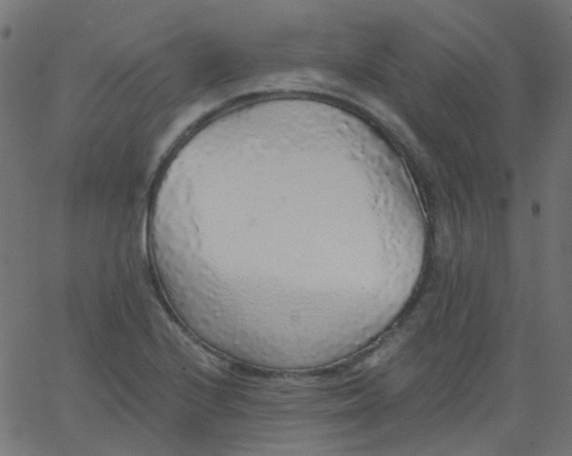 X0000067901224200604271844