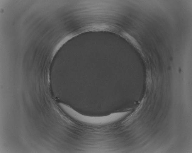 X0000067901226200604271844