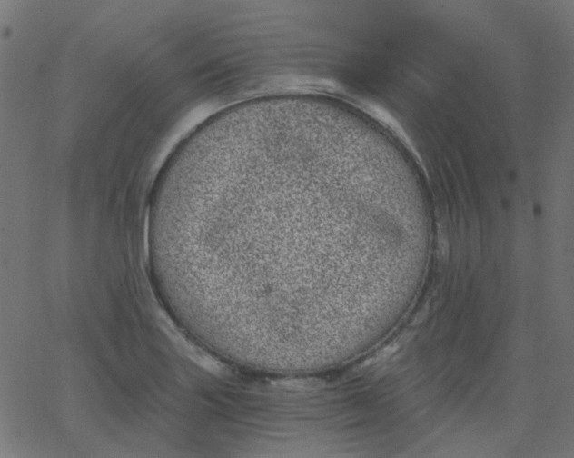 X0000067901227200604271844