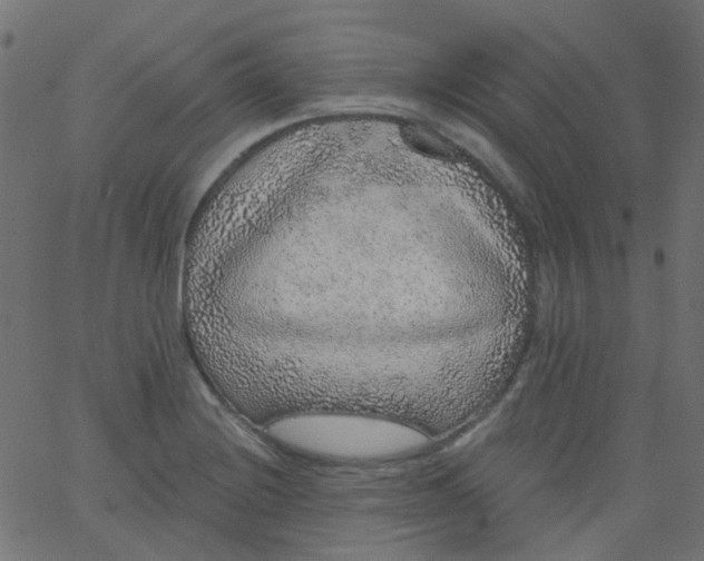 X0000067901228200604271844