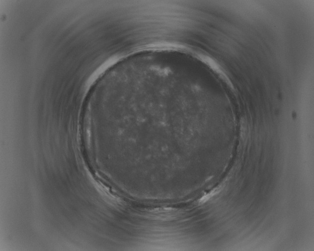 X0000067901229200604271844