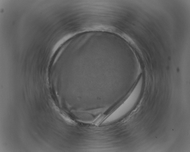 X0000067901230200604271844