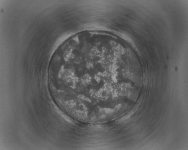 X0000067901231200604271844