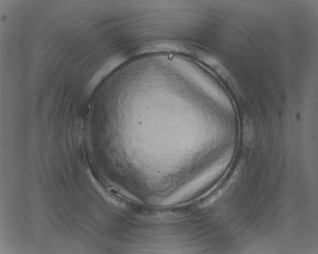 X0000067901233200604271844