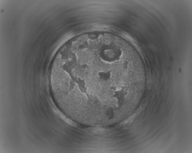 X0000067901235200604271844