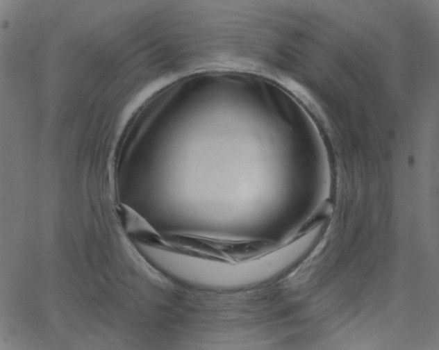 X0000067901238200604271844