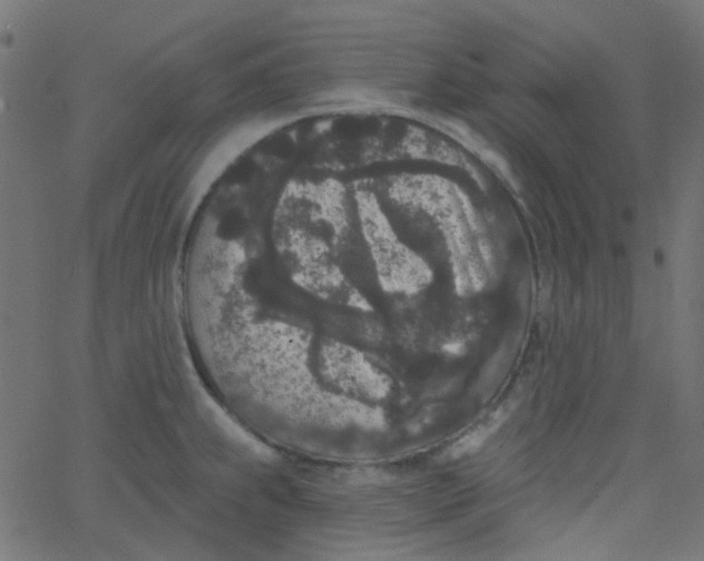 X0000067901239200604271844