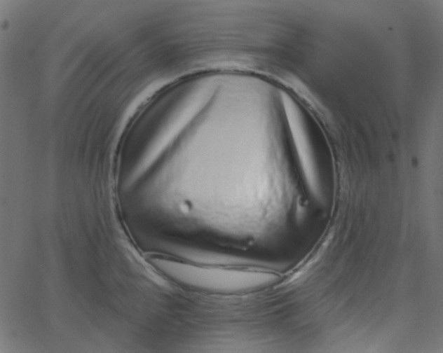 X0000067901240200604271844