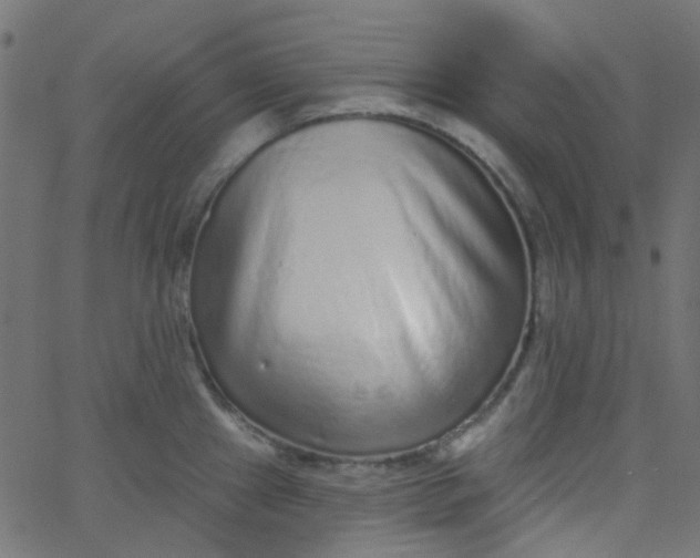 X0000067901241200604271844