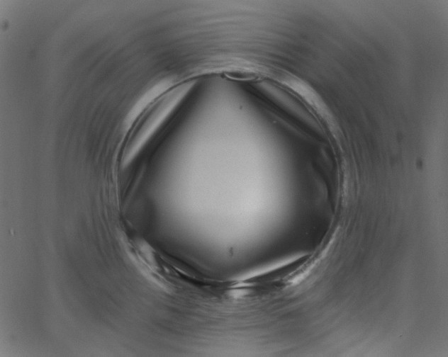 X0000067901242200604271844