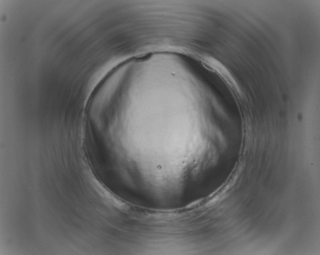 X0000067901244200604271844