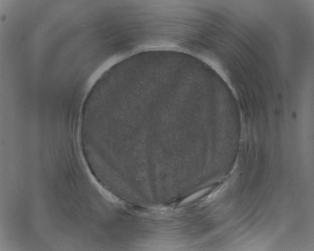 X0000067901245200604271844