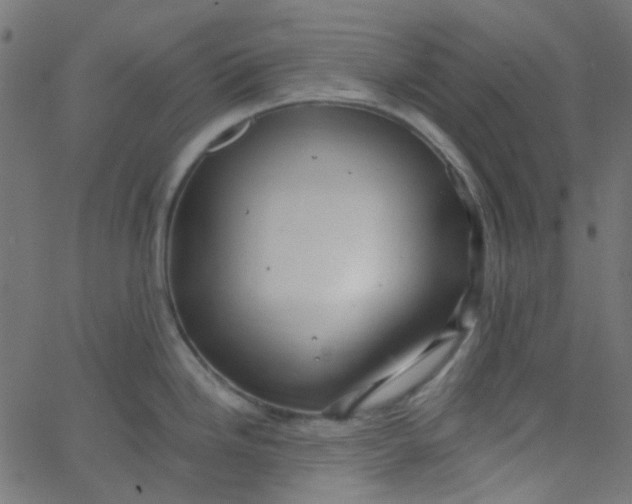 X0000067901246200604271844