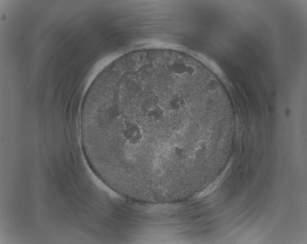 X0000067901247200604271844