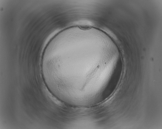 X0000067901248200604271844