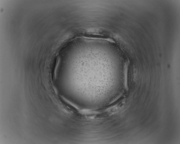 X0000067901249200604271844