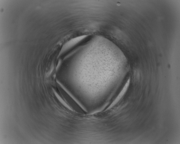 X0000067901250200604271844