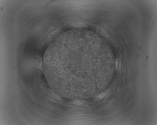 X0000067901251200604271844