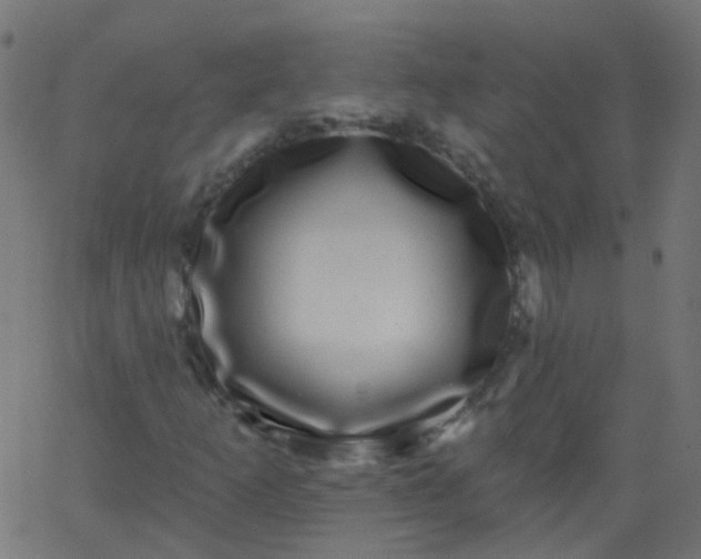 X0000067901253200604271844