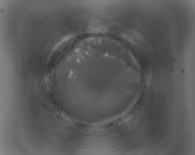 X0000067901254200604271844