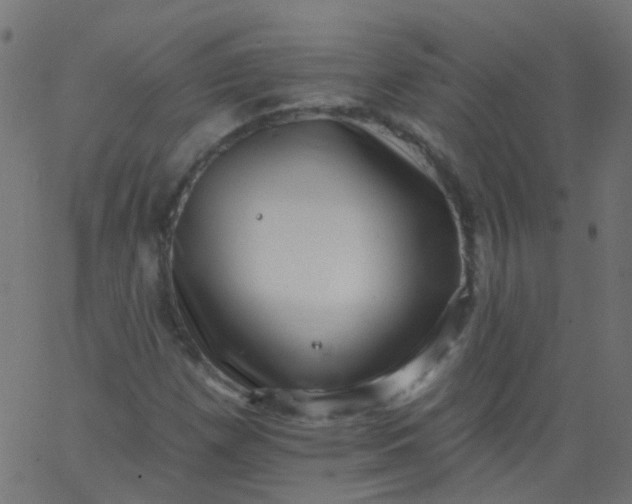 X0000067901257200604271843