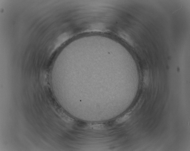 X0000067901258200604271843