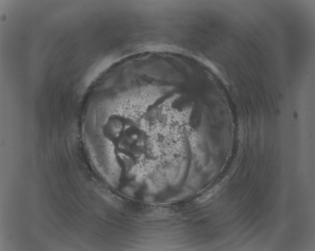 X0000067901263200604271843