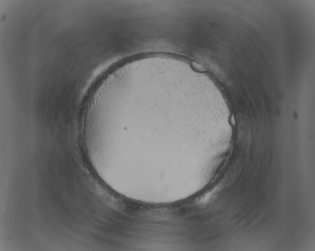 X0000067901264200604271843