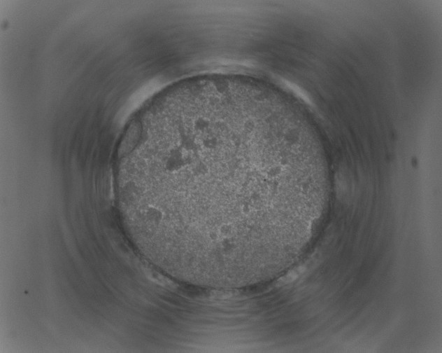 X0000067901267200604271843