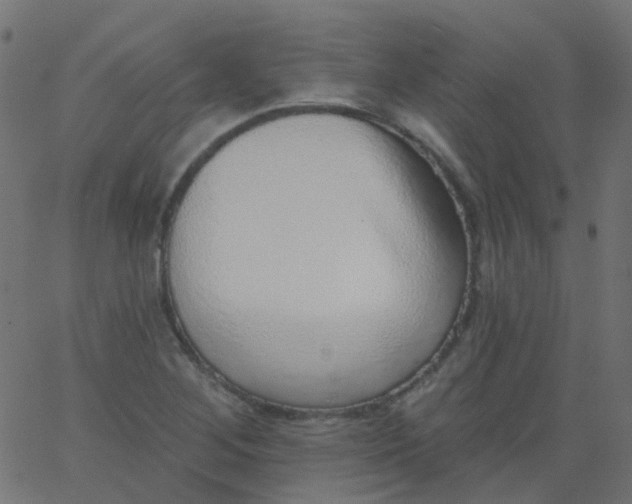 X0000067901268200604271843