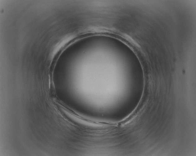 X0000067901269200604271843